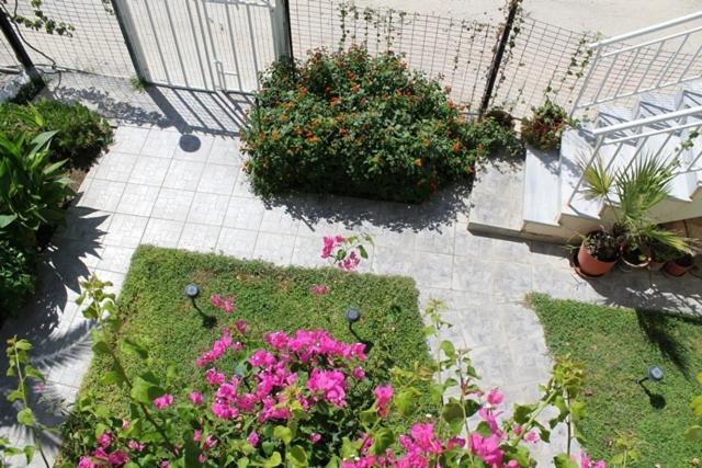 Alkioni Studios Βατερά Εξωτερικό φωτογραφία